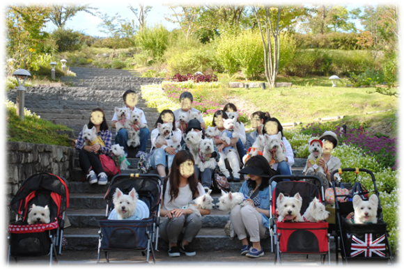 b0242873_15590624.png