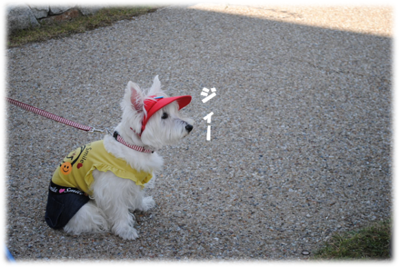 b0242873_16565833.png