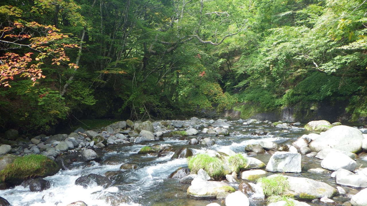 f0124378_2052021.jpg