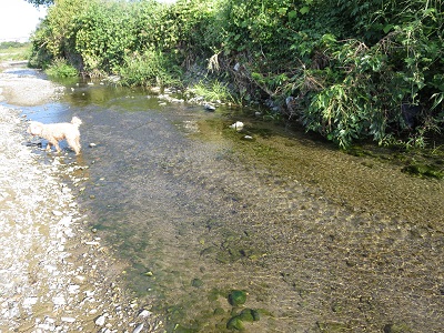 e0093679_06042550.jpg