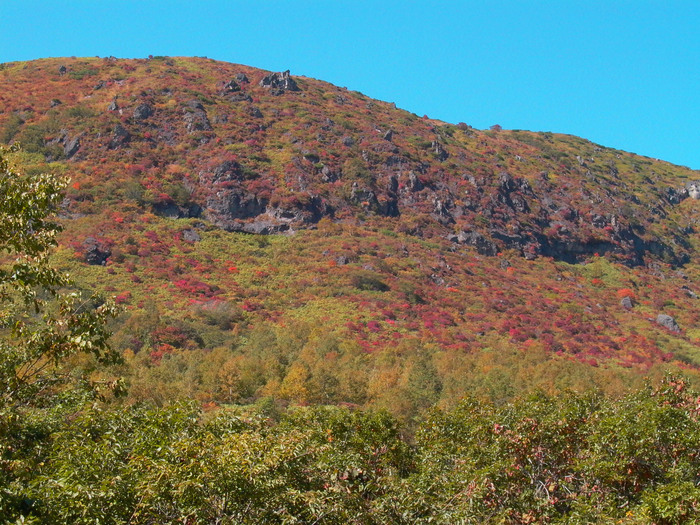 e0165983_10443672.jpg