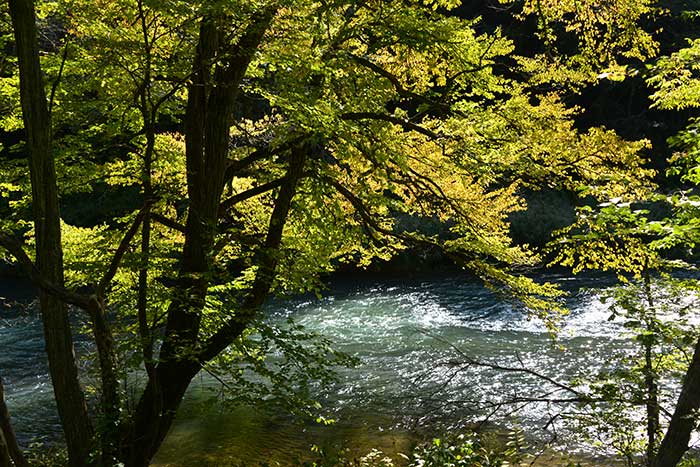 f0212586_7425930.jpg