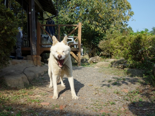 アンデス湯の山_e0241391_23232819.jpg