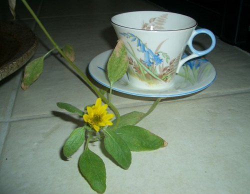 f0346196_07271415.png