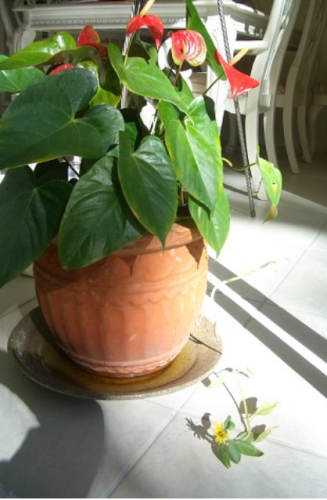 f0346196_07314537.png