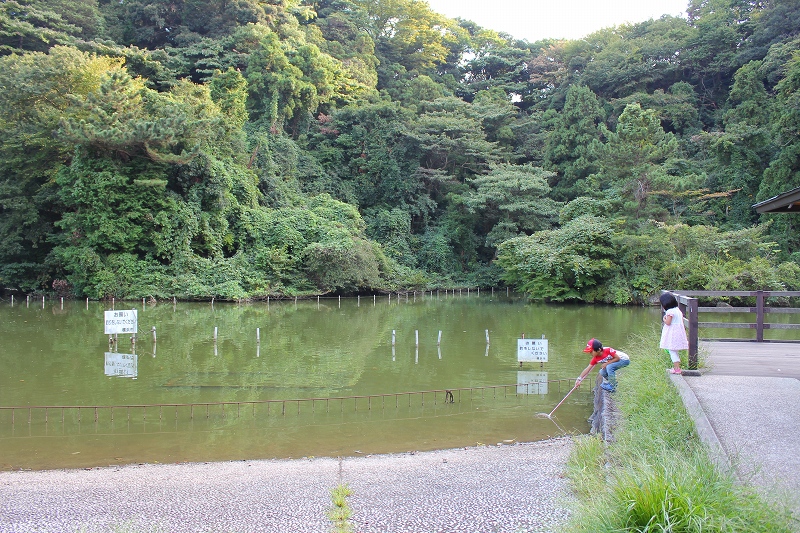 c0204298_11133374.jpg