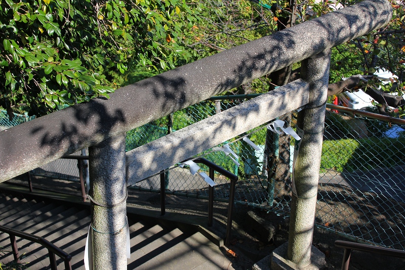 c0204298_113990.jpg