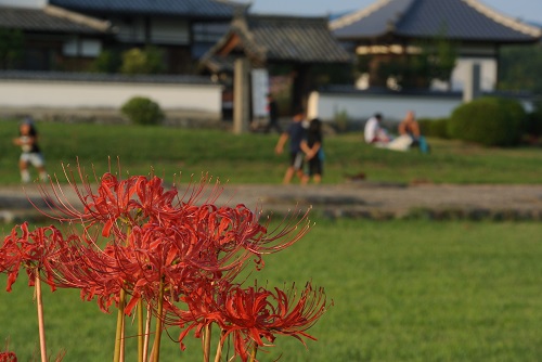 d0188401_17584160.jpg