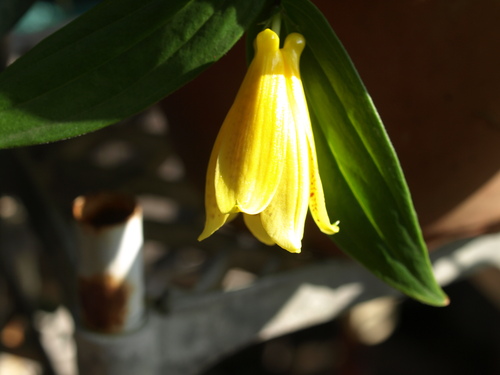 e0094102_994380.jpg