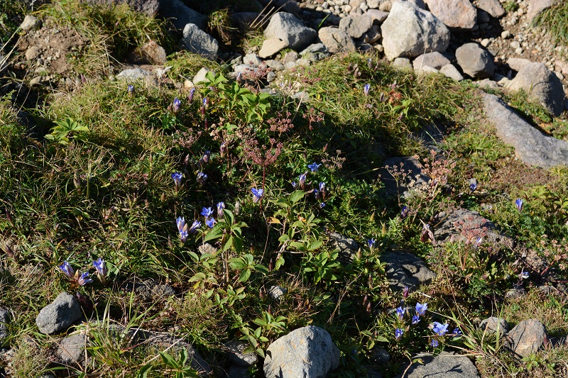 b0277008_74467.jpg