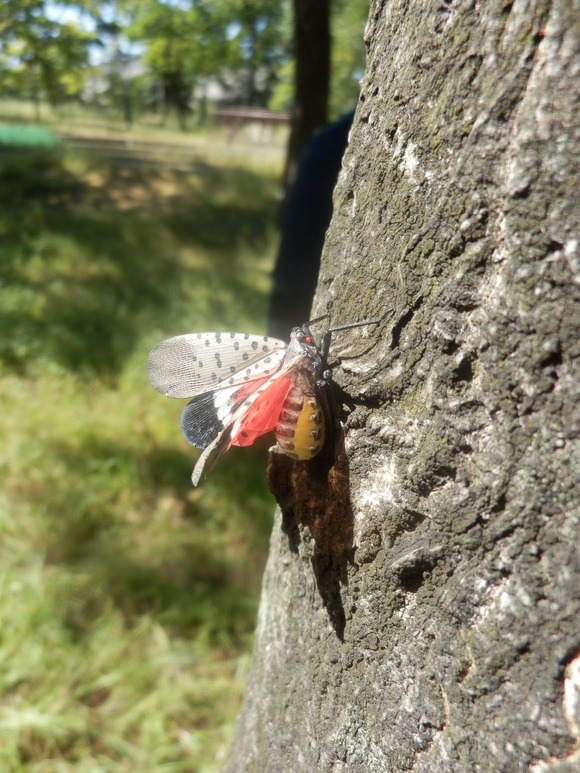 c0062511_2151417.jpg