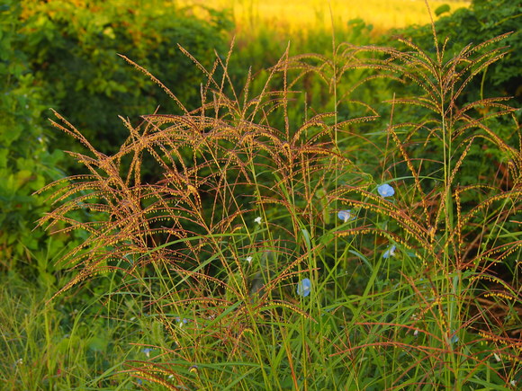 d0048812_854148.jpg