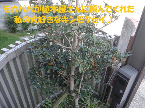 f0121712_169185.jpg