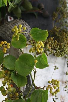 no.227 花屋green として感謝すべきこと_a0139315_23153930.jpg