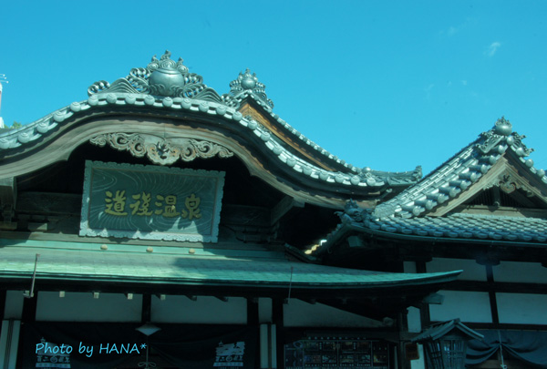 f0302415_11069.jpg