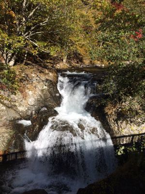 f0147821_2354443.jpg