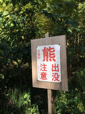 f0147821_2354731.jpg