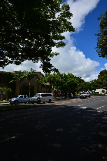 b0310424_12224710.jpg