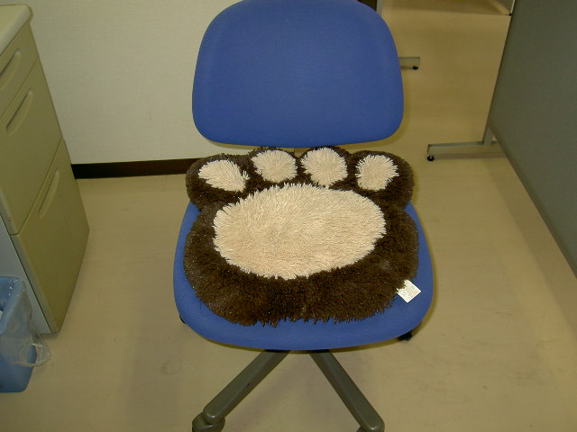 あたたかクッション!? 2014.9/30(火)_d0195024_15312718.jpg