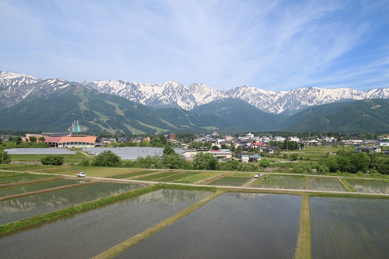 f0118426_21274368.jpg