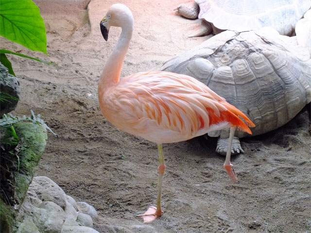 2!_a0179837_20241172.jpg