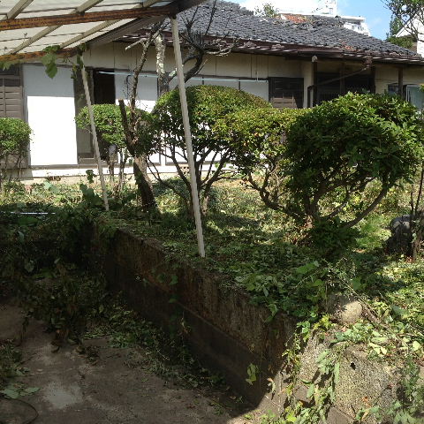 一日作業_f0031037_19172062.jpg