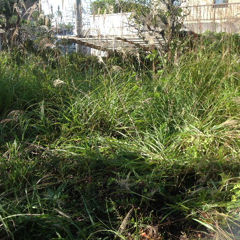 一日作業_f0031037_19471512.jpg