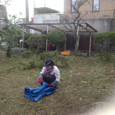 一日作業_f0031037_1948106.jpg