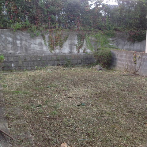 一日作業_f0031037_19494465.jpg