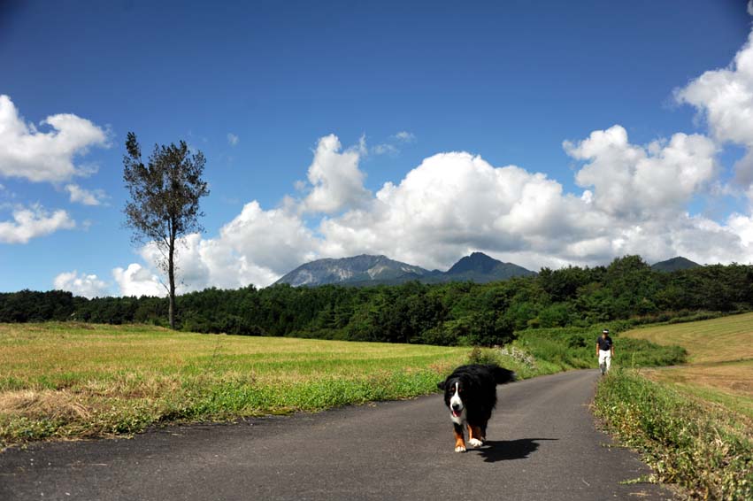 ”蒜山の美瑛”の青空の中で_b0075541_610106.jpg