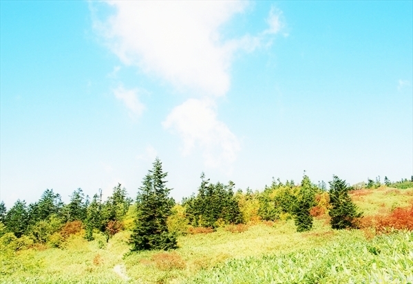 c0228945_17172677.jpg