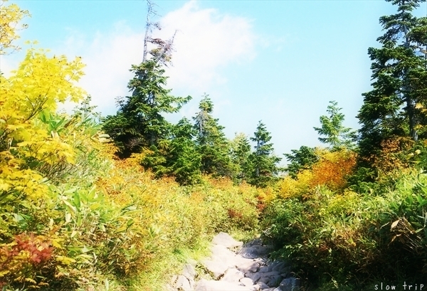 c0228945_17204626.jpg