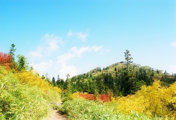 c0228945_17204653.jpg