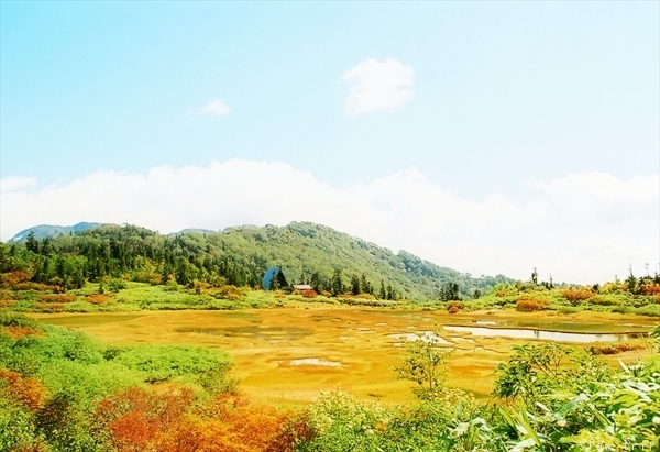 c0228945_17204782.jpg