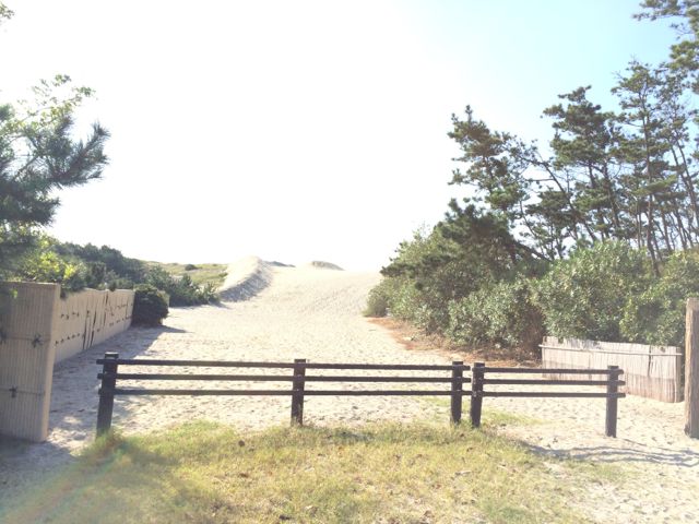 c0254151_9485710.jpg