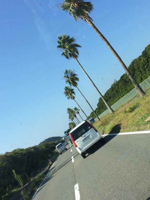 c0254151_9525385.jpg