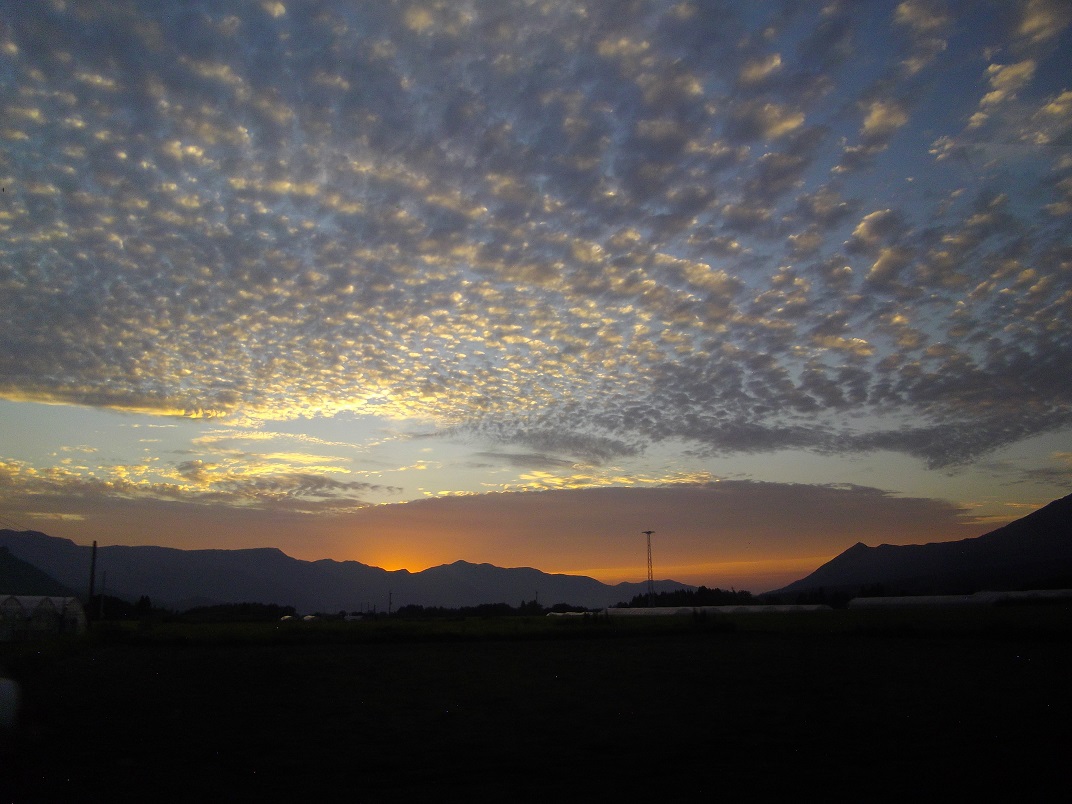 d0264557_11311498.jpg