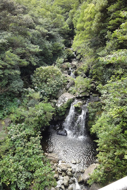 2014年夏の御蔵島　〜美しく、楽しく、美味しく！_f0054859_22131093.jpg