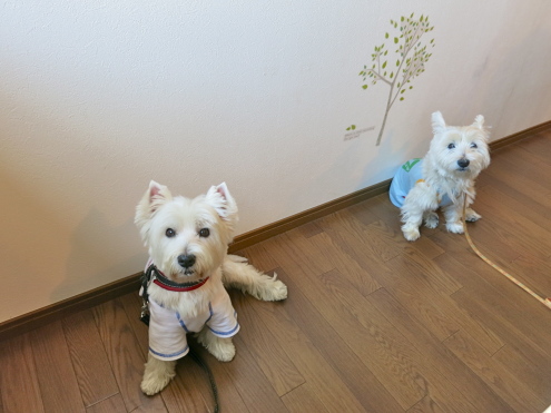 山形へ行こう!の続き_c0260460_14025140.jpg