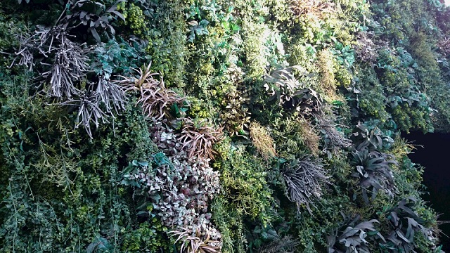 e0225164_80341.jpg