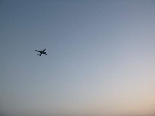 d0186069_301546.jpg