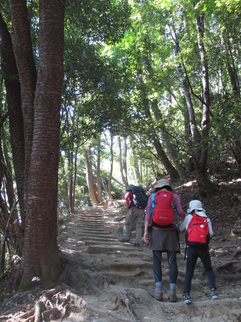 秋の高尾山_c0310571_09542903.jpg