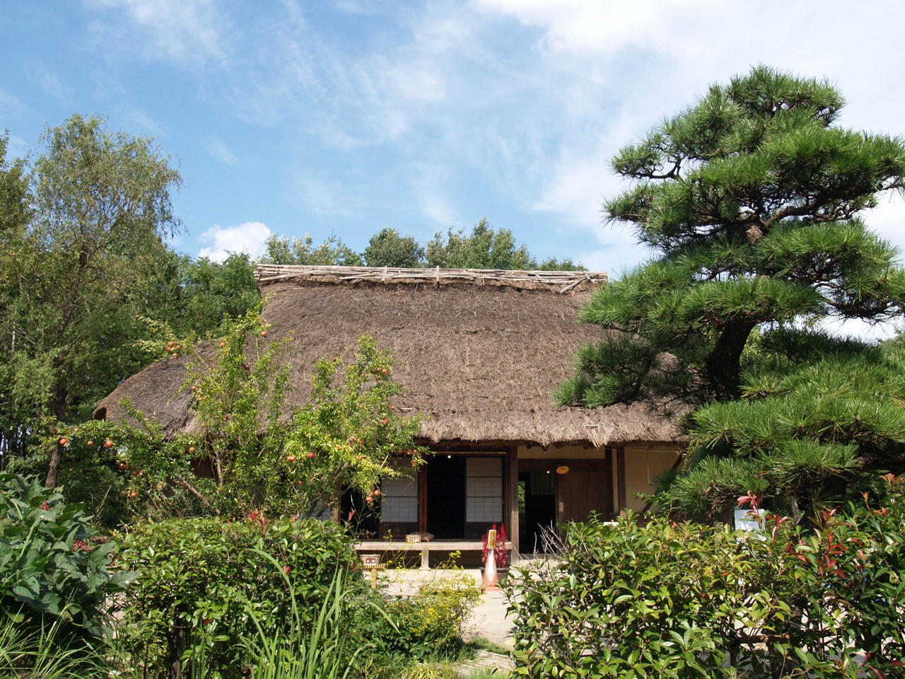 『河川環境楽園・木曽川水園秋風景～』_d0054276_19242497.jpg