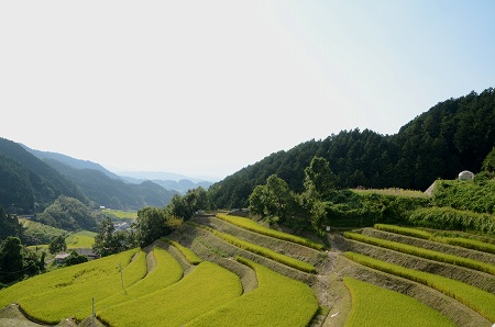 明日香村　のどかな風景①2014_c0229483_0122179.jpg