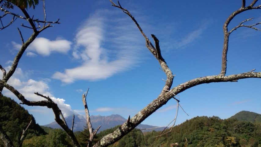 a0130586_1265897.jpg