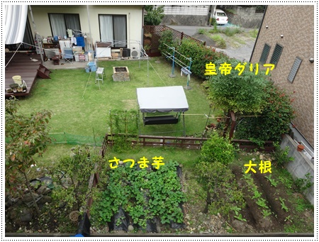 お散歩途中のいろんな探検は、楽しく歩くコツかな¥(>3(O^-)/ウフ☆_b0175688_22520083.jpg