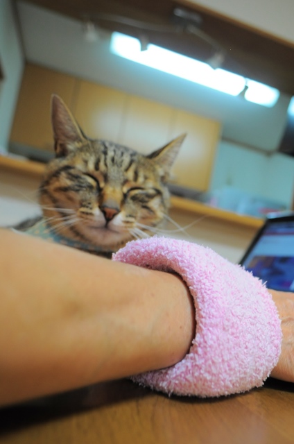 ブラインドタッチ_a0126590_6223418.jpg