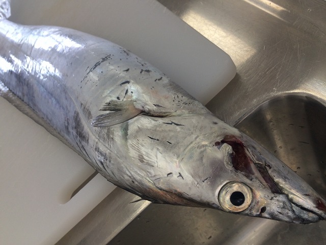 旬の魚 料理教室_d0268290_7294430.jpg