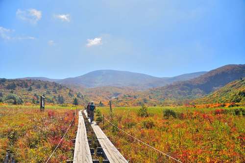 栗駒山途中下車登山_e0241691_2443078.jpg