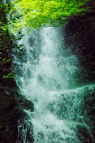 e0176993_553152.jpg